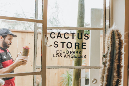 Photo of Cactus Store