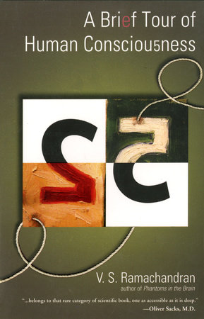 A Brief Tour of Human Consciousness by V. S. Ramachandran