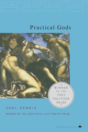 Practical Gods by Carl Dennis