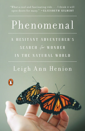 Phenomenal by Leigh Ann Henion