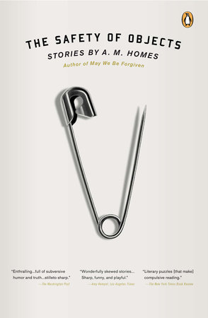 The Safety of Objects Book Cover Picture