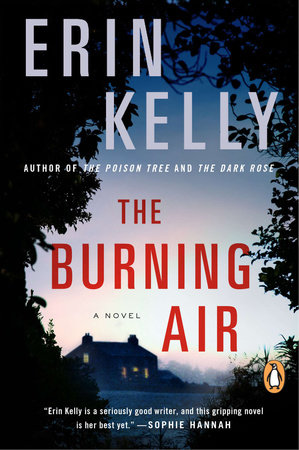 The Burning Air by Erin Kelly