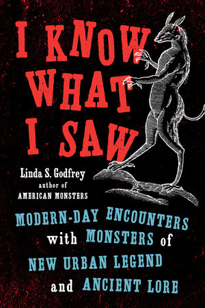 I Know What I Saw by Linda S Godfrey