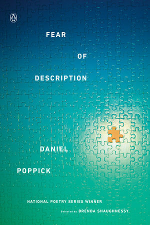 Fear of Description by Daniel Poppick