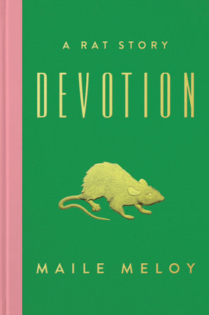 Devotion by Maile Meloy