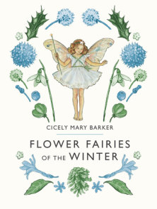 Flower Fairies Sticker Storybook: 9780723266976