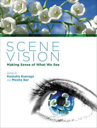 Scene Vision by 