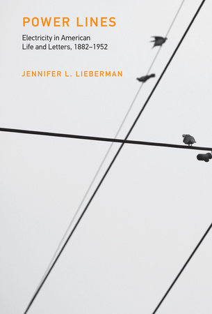 Power Lines by Jennifer L. Lieberman