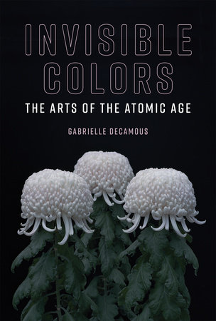 Invisible Colors by Gabrielle Decamous