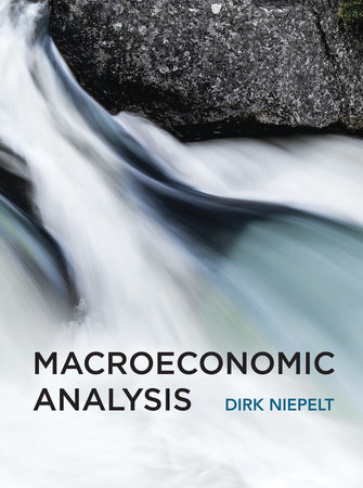 Macroeconomic Analysis by Dirk Niepelt