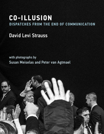 Co-Illusion by David Levi Strauss