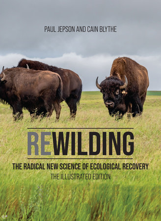 Rewilding by Paul Jepson and Cain Blythe