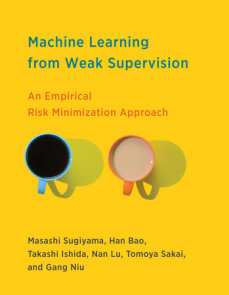 Machine Learning from Weak Supervision