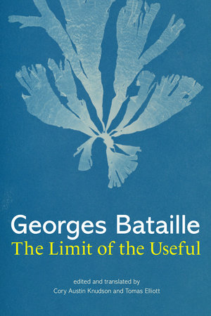 The Limit of the Useful by Georges Bataille