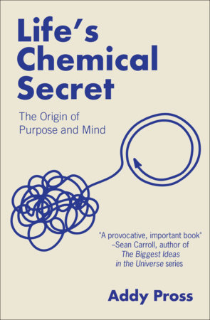 Life's Chemical Secret by Addy Pross