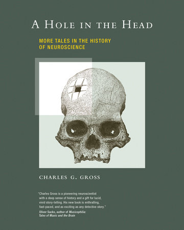 A Hole in the Head by Charles G. Gross