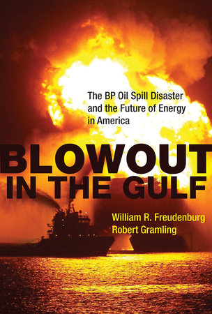 Blowout in the Gulf by William R. Freudenburg and Robert Gramling