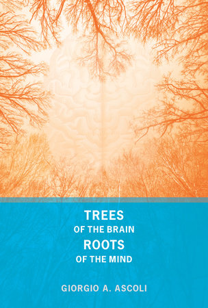 Trees of the Brain, Roots of the Mind by Giorgio A. Ascoli