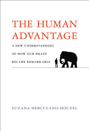 The Human Advantage by Suzana Herculano-Houzel