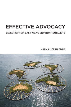 Effective Advocacy by Mary Alice Haddad