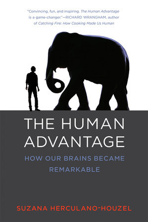 The Human Advantage by Suzana Herculano-Houzel