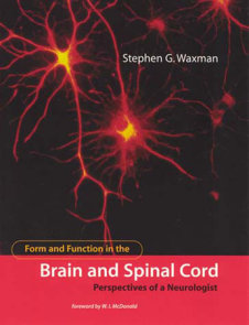 Form and Function in the Brain and Spinal Cord