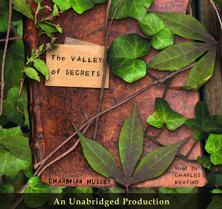 The Valley of Secrets by Charmian Hussey