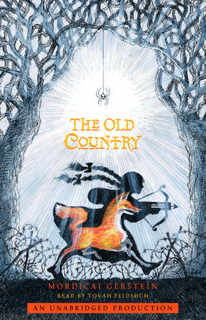 The Old Country by Mordicai Gerstein