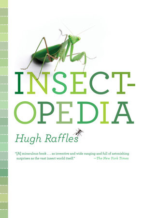 Insectopedia by Hugh Raffles