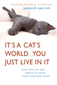 It's a Cat's World . . . You Just Live in It