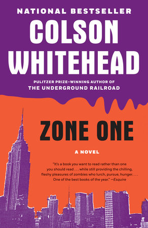 Zone One Book Cover Picture
