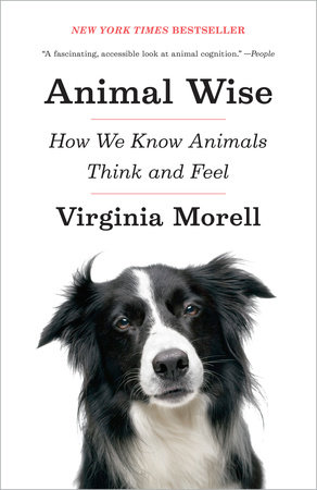 Animal Wise by Virginia Morell
