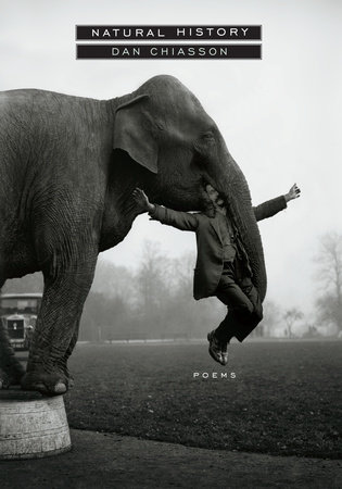 Natural History by Dan Chiasson