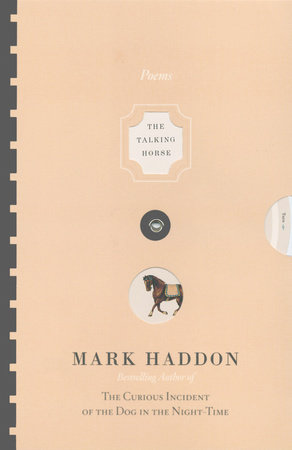 The Talking Horse and the Sad Girl and the Village Under the Sea by Mark Haddon