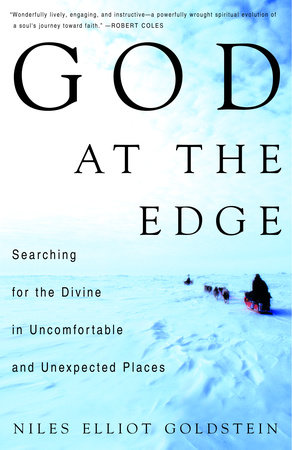 God at the Edge by Niles Goldstein