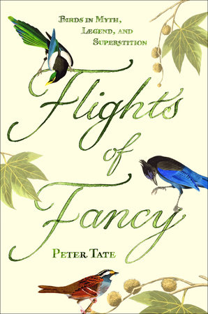 Flights of Fancy by Peter Tate