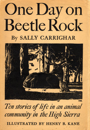 One Day On Beetle Rock by Sally Carrighar