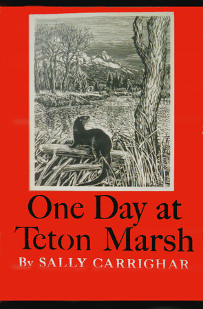 One Day At Teton Marsh by Sally Carrighar