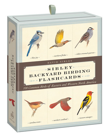 Sibley Backyard Birding Flashcards by David Allen Sibley