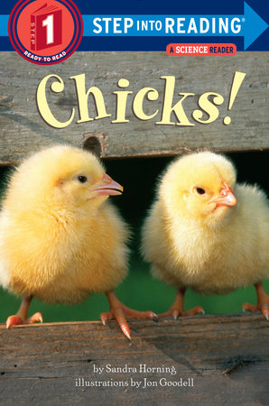 Chicks! by Sandra Horning