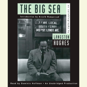 That Is My Dream! by Langston Hughes: 9780399550171 |  : Books