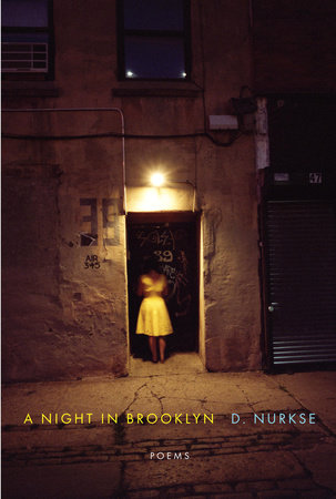 A Night in Brooklyn by D. Nurkse