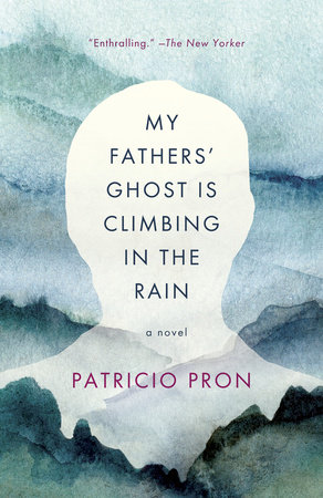 My Fathers' Ghost Is Climbing in the Rain by Patricio Pron