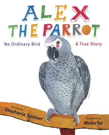 Alex the Parrot: No Ordinary Bird by Stephanie Spinner