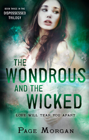 The Wondrous and the Wicked by Page Morgan