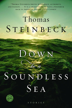 Down to a Soundless Sea by Thomas Steinbeck