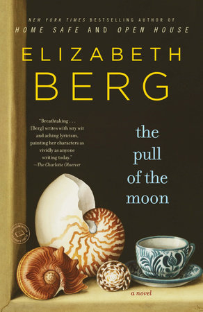 The Pull of the Moon by Elizabeth Berg
