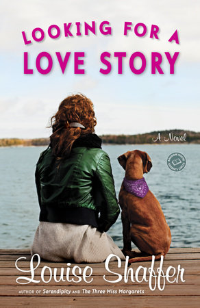 Looking for a Love Story by Louise Shaffer