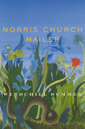 Windchill Summer by Norris Church Mailer