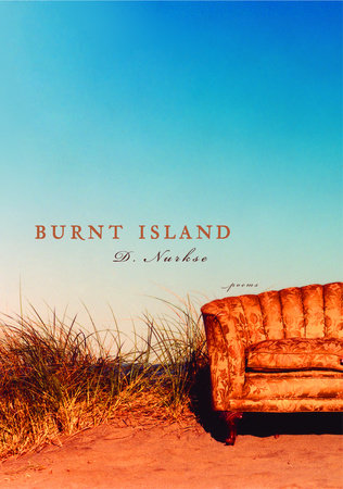 Burnt Island by D. Nurkse